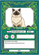 Animal Card 3